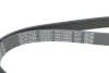 Ремінь генератора Citroen C3/C4/Peugeot 307 1.4-1.6HDi 02- (6PK1090) DAYCO 6PK1090EE (фото 4)