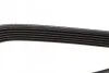 Ремінь генератора Nissan Primera/Fiat Marea 1.8-2.4JTD 96-02 DAYCO 6PK1105 (фото 4)