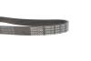 Поликлиновой ремень DAYCO 6PK1120S (фото 3)