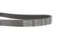 Поликлиновой ремень DAYCO 6PK1120S (фото 3)