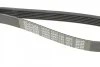 Ремінь генератора Citroen Jumper 1.9TD 94-02 (ALT,PS) DAYCO 6PK1130 (фото 5)