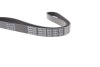 Поликлиновой ремень DAYCO 6PK1139H (фото 4)