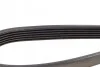 Ремінь генератора Citroen Jumper/Peugeot Boxer 3.0HDI DAYCO 6PK1165 (фото 4)