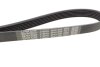 Фото 3 - ремінь генератора Renault Kangoo 1.9dTi/dCi 01- DAYCO 6PK1209 Ремінь генератора Renault Kangoo 1.9dTi/dCi 01- DAYCO 6PK1209 (фото 3)