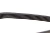 Фото 4 - ремінь генератора Renault Kangoo 1.9dTi/dCi 01- DAYCO 6PK1209 Ремінь генератора Renault Kangoo 1.9dTi/dCi 01- DAYCO 6PK1209 (фото 4)