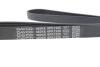 Поликлиновый ремень DAYCO 6PK1225 (фото 4)