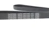 Поликлиновый ремень DAYCO 6PK1225 (фото 4)