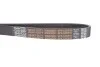 Ремінь генератора Renault Trucks Magnum 12.0i 90-96 DAYCO 6PK1250HD (фото 4)