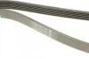 Ремінь генератора Ford Granada/Fiat Bravo 1.9D/2.0 07- DAYCO 6PK1270 (фото 4)