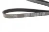 Ремінь генератора VW T4 2.4D -03 DAYCO 6PK1335 (фото 3)