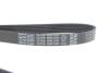 Поликлиновый ремень DAYCO 6PK1341 (фото 4)