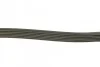 Ремінь генератора Citroen Berlingo/Jumpy/Peugeot Expert/Partner 1.6HDI DAYCO 6PK1355 (фото 3)