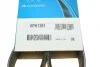 Ремінь генератора Opel Zafira 1.9 CDTI 05- DAYCO 6PK1381 (фото 7)