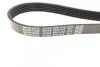 Ремінь генератора Ford Connect 1.8TDCI DAYCO 6PK1415 (фото 4)