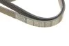 Пас поликлиновый Skoda Octavia/VW Golf IV 96-10 DAYCO 6PK1545 (фото 5)