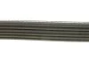 Ремінь генератора Citroen Berlingo 1.6 00-08/ Nemo 1.4i 08- DAYCO 6PK1558 (фото 3)