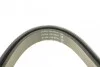 Ремінь генератора Citroen Berlingo 1.6 00-08/ Nemo 1.4i 08- DAYCO 6PK1558 (фото 4)