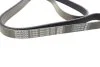 Ремінь генератора Citroen Berlingo/Peugeot Bipper/Partner (6PK1560/1565) DAYCO 6PK1565 (фото 2)