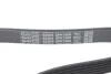 Поликлиновый ремень DAYCO 6PK1606 (фото 4)