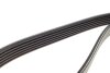 Пас поликлиновый VW LT 2.8TDI 96KW/Ford Transit 2. DAYCO 6PK1640 (фото 4)