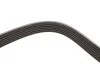 Ремінь генератора Renault Megane I/Ford Transit 2.0 94-00 DAYCO 6PK1650 (фото 4)