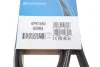 Ремінь генератора Renault Megane I/Ford Transit 2.0 94-00 DAYCO 6PK1650 (фото 6)