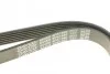 Ремінь генератора Fiat Scudo/Citroen Berlingo/VW Golf IV 1.8/1.9TDI 97- DAYCO 6PK1660 (фото 5)