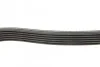 Ремінь генератора Citroen Jumper 1.9TD 94-02 (ALT,PS,AC) DAYCO 6PK1705 (фото 3)
