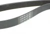 Ремінь генератора Citroen Jumper 1.9TD 94-02 (ALT,PS,AC) DAYCO 6PK1705 (фото 4)