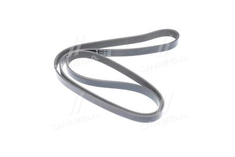 Поликлиновый ремень DAYCO 6PK1782S