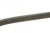 Ремінь генератора Toyota Corolla 00-02 DAYCO 6PK1820 (фото 3)