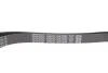 Ремінь генератора Opel Insignia A 2.0 CDTI/Biturbo 08-17 DAYCO 6PK1852K (фото 4)