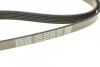 Ремінь генератора MB C-class (W202) 2.0 95-01 DAYCO 6PK1865 (фото 5)