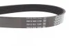 Ремінь генератора Jeep Wrangler 4.0 i 98-07 DAYCO 6PK1910 (фото 3)