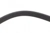 Ремінь генератора Jeep Wrangler 4.0 i 98-07 DAYCO 6PK1910 (фото 5)