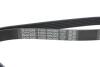 Ремінь генератора VW T4 2.4D/2.5 90-03 (PS) DAYCO 6PK2063 (фото 4)