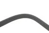 Ремінь генератора BMW 3(E90/E91/E92) 3.0D 06-13/X3(E83) 3.0D (M57 D30) 04-11 (6PK2063) DAYCO 6PK2063S (фото 3)