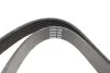 Ремінь генератора Chevrolet Captiva 2.0D 06- DAYCO 6PK2070 (фото 3)