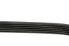 Ремінь генератора MB C-class (W203) 00-02 DAYCO 6PK2135 (фото 3)