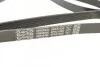 Ремінь генератора VW LT 2.8TDI 116KW (+AC) DAYCO 6PK2155S (фото 4)