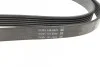 Ремінь генератора MB Vito OM611 (+AC) DAYCO 6PK2170 (фото 4)