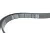 Ремінь генератора Mitsubishi Lancer/Outlander 1.8-2.4 09- (6PK2200) DAYCO 6PK2200S (фото 4)