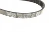 Ремінь генератора Land Rover Discovery III 4.4 04-13 DAYCO 6PK2345 (фото 2)