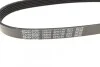 Ремінь генератора Citroen Berlingo/Fiat Ducato 1.9 D/TD 96-03 DAYCO 6PK730 (фото 4)
