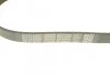 Ремінь генератора VW Caddy III/Fiat Ducato 1.6/2.5TDI 94-02 DAYCO 6PK900 (фото 4)