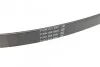 Пас поліклиновий Citroen Jumper/Peugeot Boxer 2.5D DAYCO 6PK915 (фото 3)