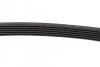 Пас поліклиновий Citroen Jumper/Peugeot Boxer 2.5D DAYCO 6PK915 (фото 4)