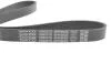 Поликлиновый ремень DAYCO 6PK962S (фото 3)