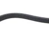 Ремінь генератора Toyota Corolla/Auris/Yaris 1.4 D 04-14 DAYCO 6PK966 (фото 3)