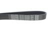 Ремінь генератора Toyota Corolla/Auris/Yaris 1.4 D 04-14 DAYCO 6PK966 (фото 4)